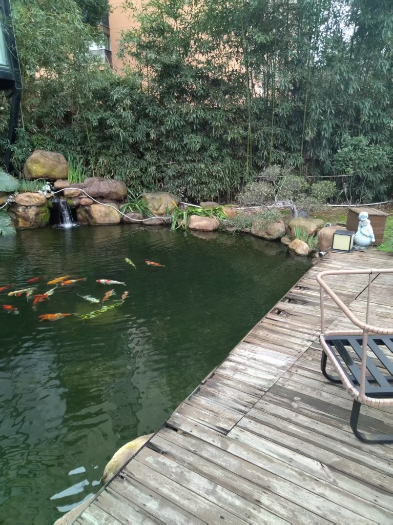 锦鲤庭院与玻璃立面